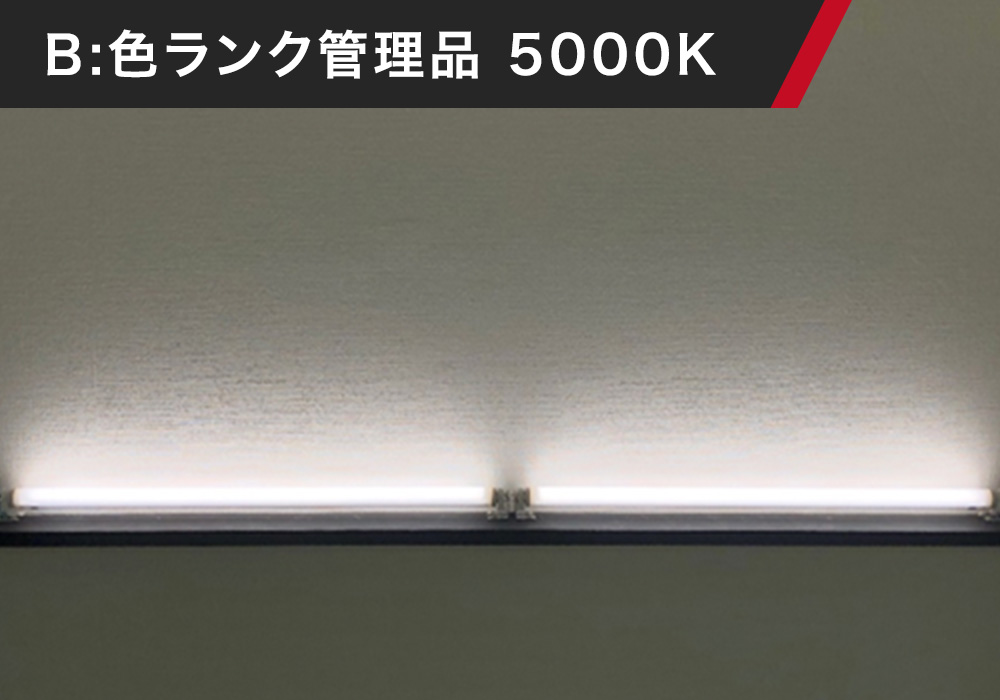 B:色ランク管理品 5000K